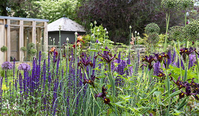 A garden design in Grange